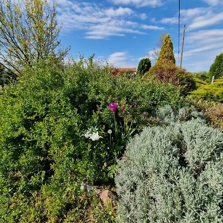 Gorica-bistrica * Bistrica (Branicevo)