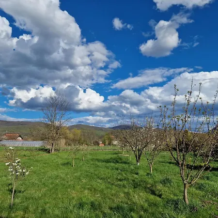 Gorica-bistrica Appartamento *