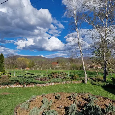 Gorica-bistrica Appartamento Bistrica (Branicevo)